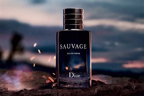 autoduft dior sauvage|dior sauvage cologne.